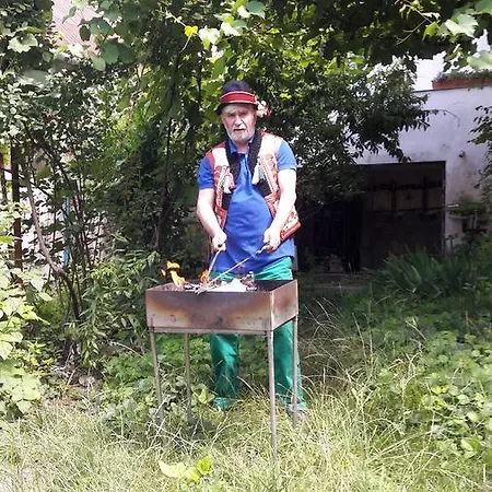 Vilni Kimnaty Guest house Mukacheve