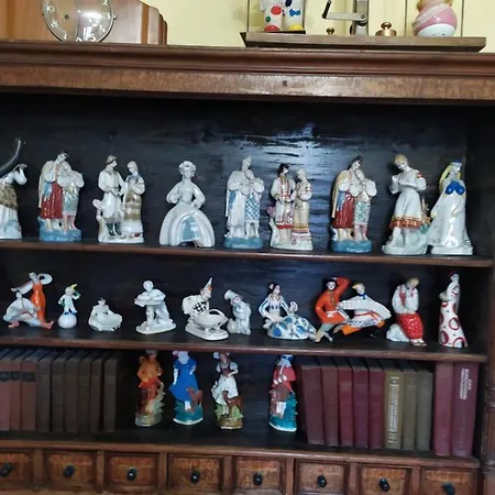 Vilni Kimnaty Mukacheve