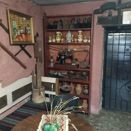 Vilni Kimnaty Mukacheve