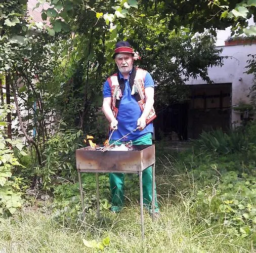 Vilni Kimnaty Vendégház Munkács