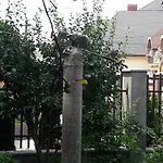 Guest house Vilni Kimnaty